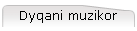 Dyqani muzikor