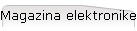 Magazina elektronike