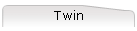 Twin
